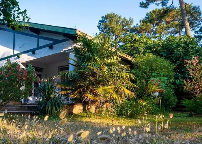 Vila Peaceful Haven With Pool & Jacuzzi - Claouey